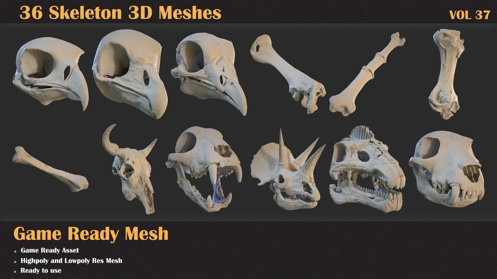 36 Skeleton 3D Meshes — VOL 37 — preview 4