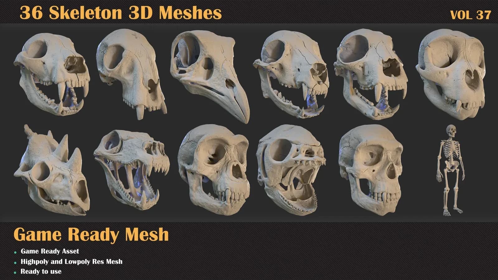 36 Skeleton 3D Meshes — VOL 37 — preview 5