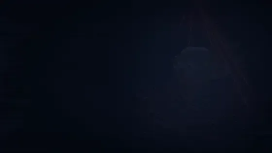 Transition FX — preview 2